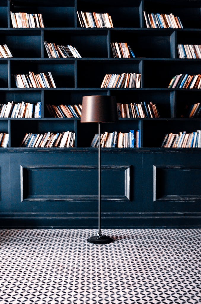 House room with assorted books in rows on bookshelves against floor lamp in daylight